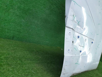 Дверь передняя правая Renault Master 3 (2010-н.в.)