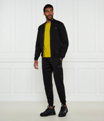 Спортивные штаны EA7 - черный(7M000097 AF12116)