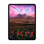 Планшет Apple iPad Pro 11 M4 Wi-Fi 256ГБ черный космос