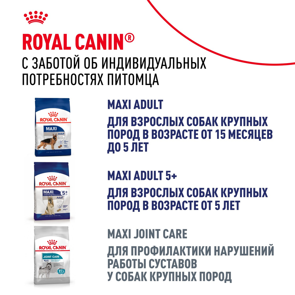 Royal Canin Maxi Ageing 8+ Макси Эйджинг Корм сухой для стареющих собак крупных пород старше 8 лет 15кг