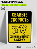 Табличка "Сбавьте скорость, собаки выбегают на дорогу" на дверь и забор, для двора, дома, подъезда, 40х30 см, Silver Plane x Айдентика Технолоджи