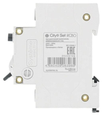 Автомат дифференциальный Systeme Electric C9D34610