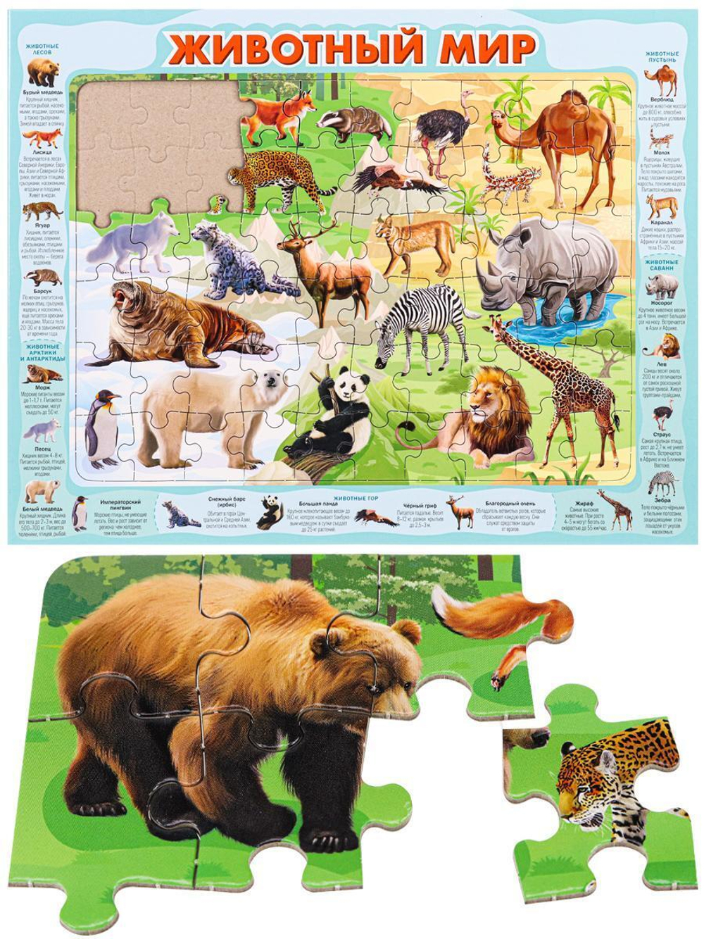 Пазл-рамка 60 эл. Животный мир (П60-8737)