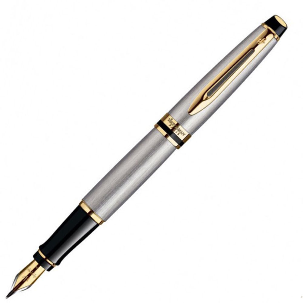 Перьевая ручка Waterman Expert 3 Stainless Steel GT (S0951940)