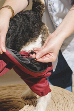 Комбинезон "Пони-комбинезони" винный