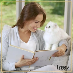 Гурмэ перл нежное филе влажный корм для кошек, с индейкой в соусе 75 г
