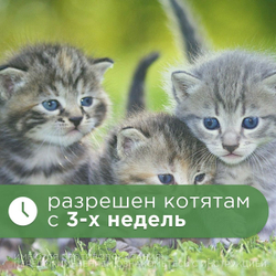 Суспензия для лечения и профилактики глистов АВЗ Фебтал-комбо для кошек, 7 мл