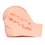 Телесный мастурбатор-полуторс 22x22x18см вагина и анус ToyFa Juicy Pussy Amanda 893043