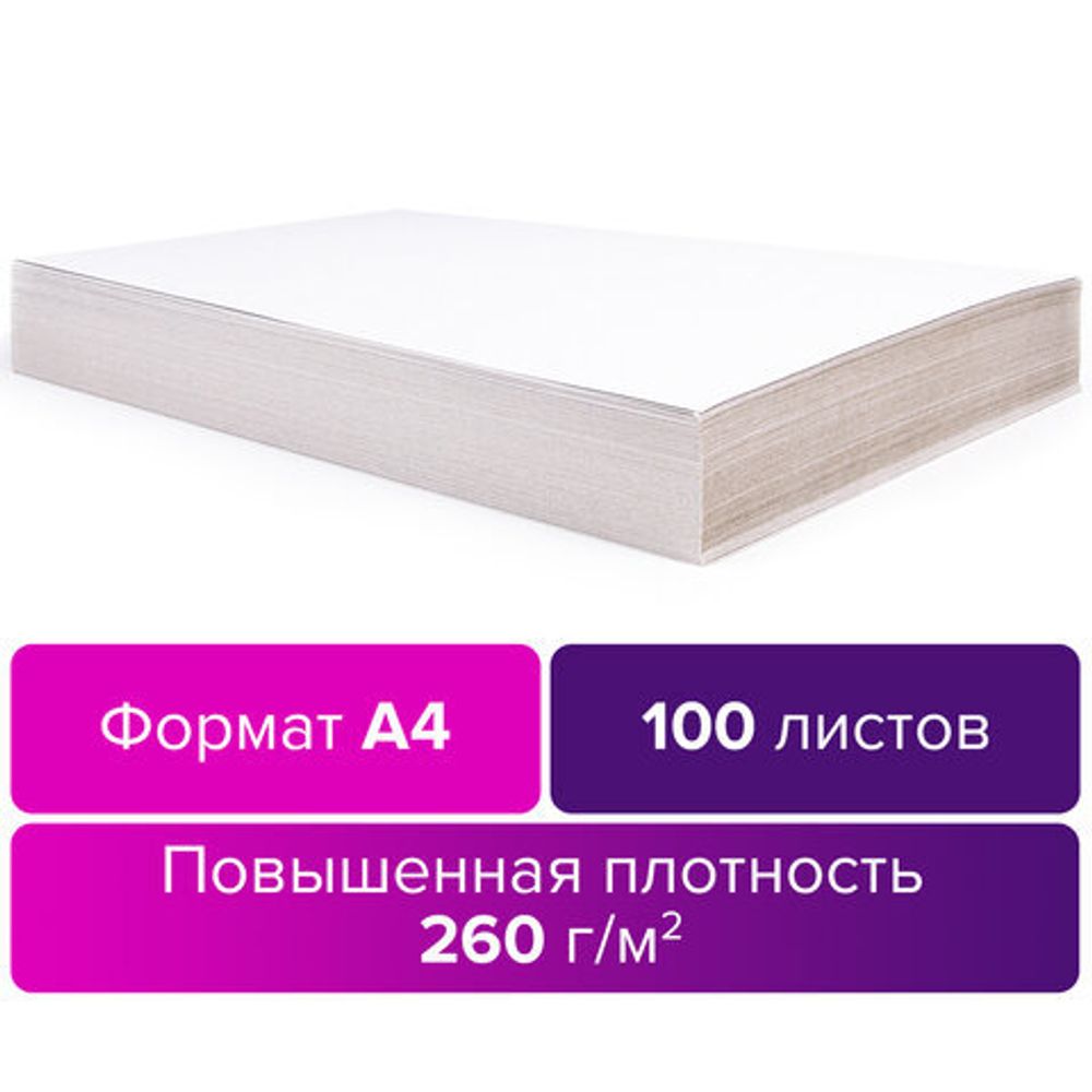Картон для подшивки документов А4, немелованный, 100 листов, 260 г/м2, BRAUBERG, 210х297 мм, 124877