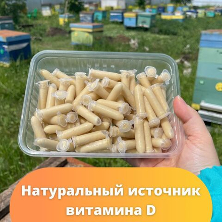 Трутневое молочко (гомогенат) 2025г