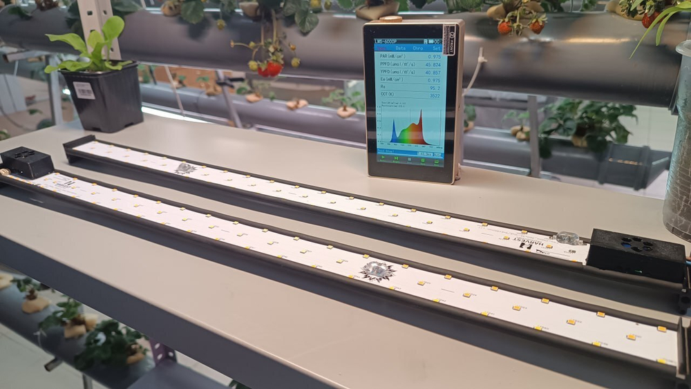 Светодиодный светильник Fito-Chilito-20W, 56 см