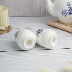 Набор для специй 2 предмета Солонка/Перечница d 5,1 см h7,3 см Sea Flower P.L. Proff Cuisine [1]