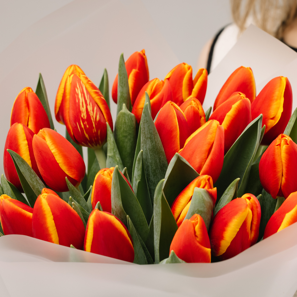Моно-букет огненных тюльпанов