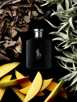 Ralph Lauren Polo Black туалетная вода для мужчин