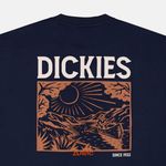  Футболка мужская Dickies Patrick Springs Tee артикул:DK0A4YR7DNX1 - купить в магазине Дайс