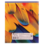 Тетрадь школьная А5 48л. линейка, писчая №2(обл мелов бум) в ассорт. (КПК)