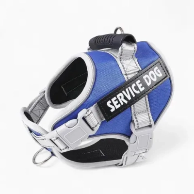 Шлейка и поводок «Service Dog»