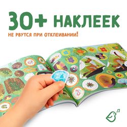 Агент Молли 008. Секретная миссия с паролем. книга с наклейками