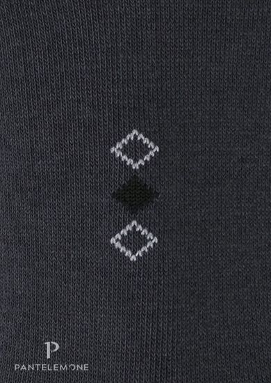 Носки мужские Pantelemone PN-100 ,темно-серые