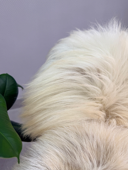 Шкура коврик меховой прикроватный овчина, 120х65 см.