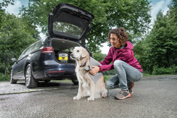 Салфетка для высушивания шерсти