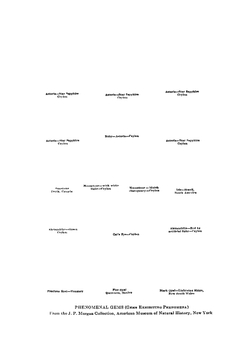 The curious lore of precious stones. Being a description of their sentiments and folk lore, superstitions, symbolism, mysticism, use in medicine, protection, prevention, religion, and divination, crystal gazing, birthstones, lucky stones and talismans, astral, zodiacal and planetary | G.F. Kunz