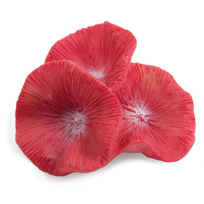 Коралл искусственный "Бластомусса мини", 56*52*31мм, Laguna AQUA