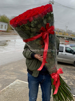 101 высокая роза 140см