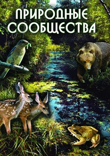 Природные сообщества