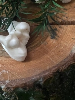 Амулет Зуб Волка