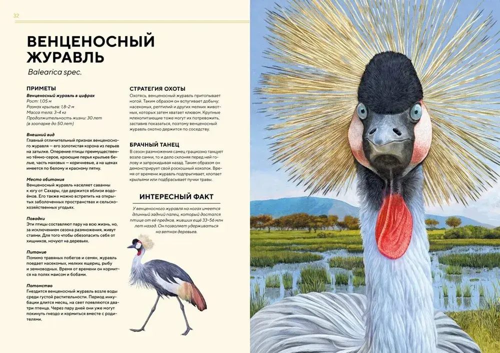 Животные Африки в натуральную величину