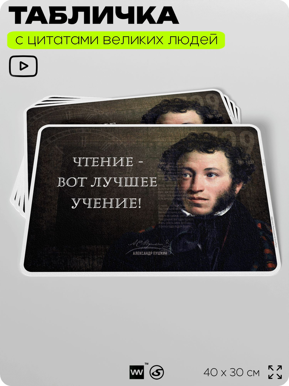 Литературный постер с цитатой А. С. Пушкина для школы, на стену, на пластике, для интерьера, 40х30 см, Silver Plane x Айдентика Технолоджи