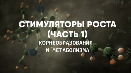 Стимуляторы роста. (Часть 1) корнеобразования и метаболизма
