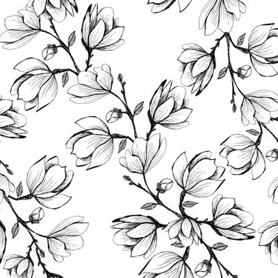 Черно белые магнолии. Графичные цветы