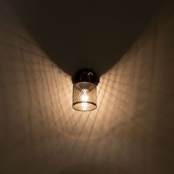 Citilux Робин CL535615 Спот поворотный с выключателем Венге