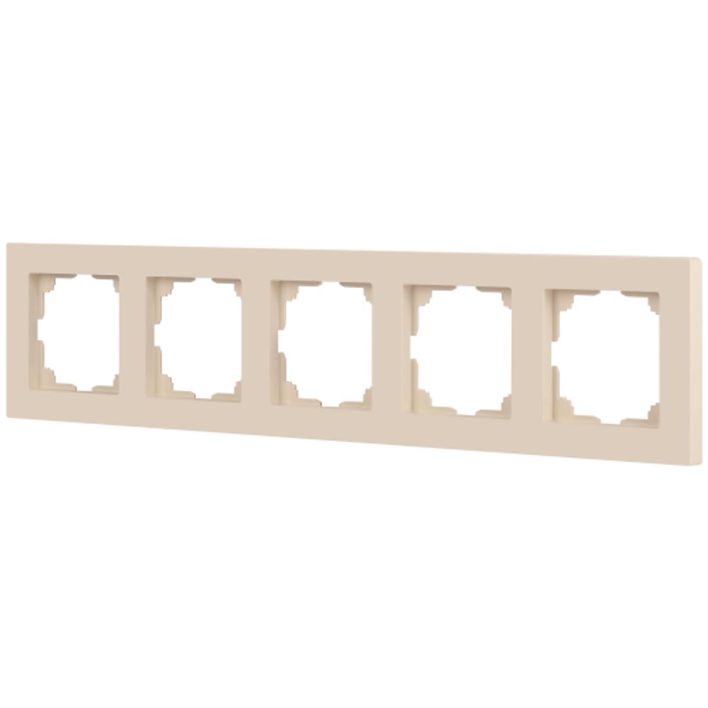 Рамка для розеток и выключателей Intro Accent 6-505-02 на 5 постов, СУ, сл.кость