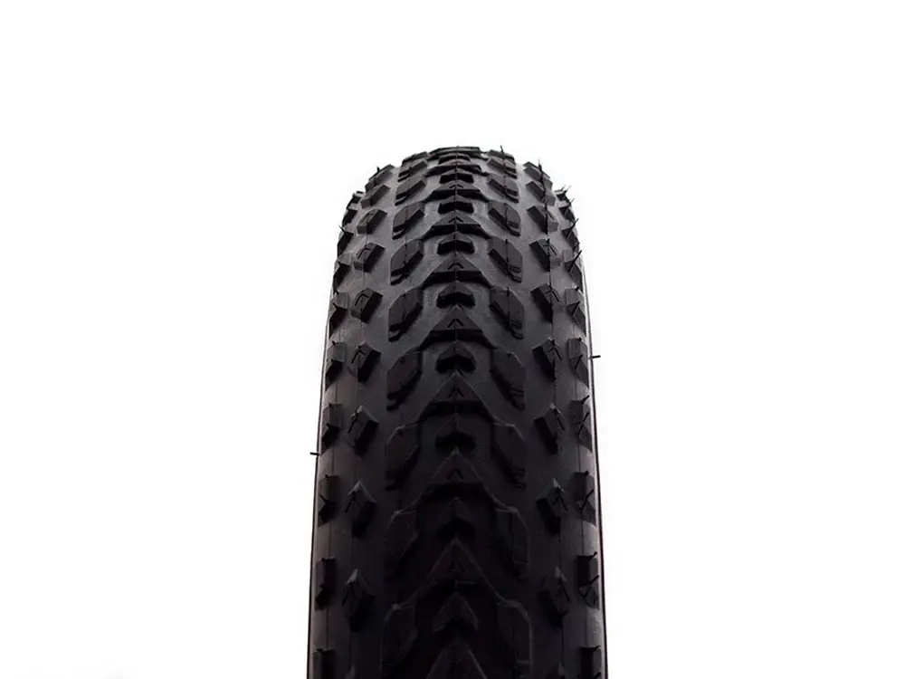 Электрофэтбайк El-sport bike TDN-01 500W