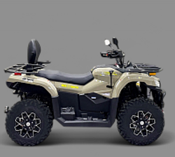 Квадроцикл Bizon YK450A EPS ПТС