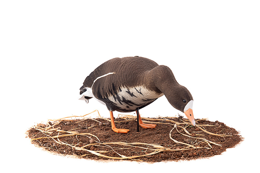 Белолобый гусь Duck Mania "ALFA" ЖИВОЕ ПЕРО мод. ALFA6B-DM-UV