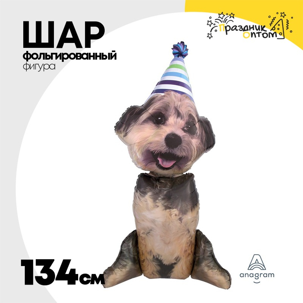 Шар Фольгированный Щенок в колпаке (Коричневый)