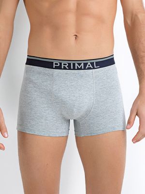 Мужские трусы B225 Boxer Primal