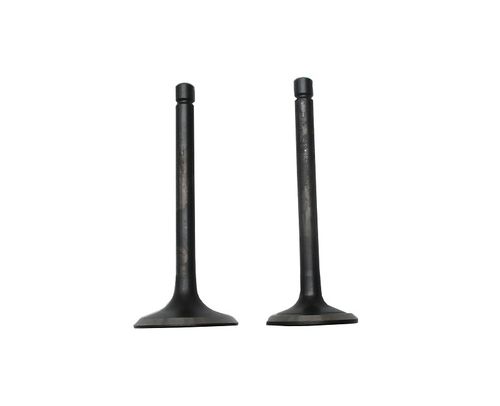 Клапаны (пара) LC2V78F-2A/500550030-0001