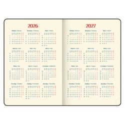 Ежедневник датированный 2026 B6 125х173 мм GALANT "Vivid" под кожу серый (117410)