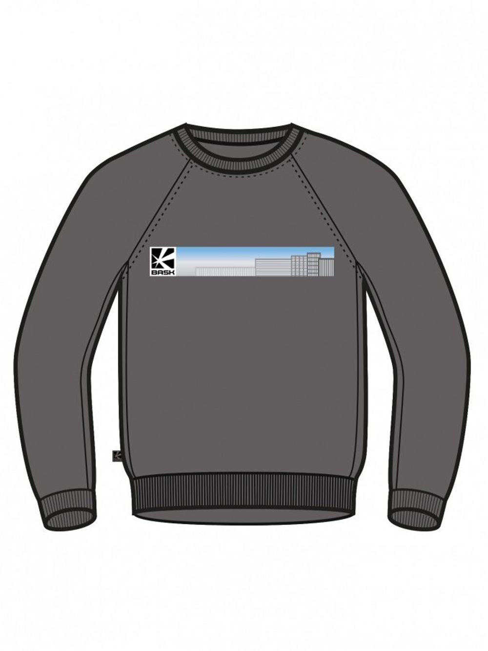ТОЛСТОВКА МУЖСКАЯ BASK CITY LINE SWEATSHIRT