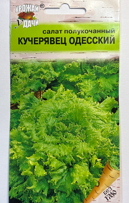 Салат Одесский кучерявец 0,5 г СМЗ-172