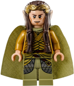 Конструктор LEGO  The Lord of the Rings 79015 Битва с королем-ведьмой