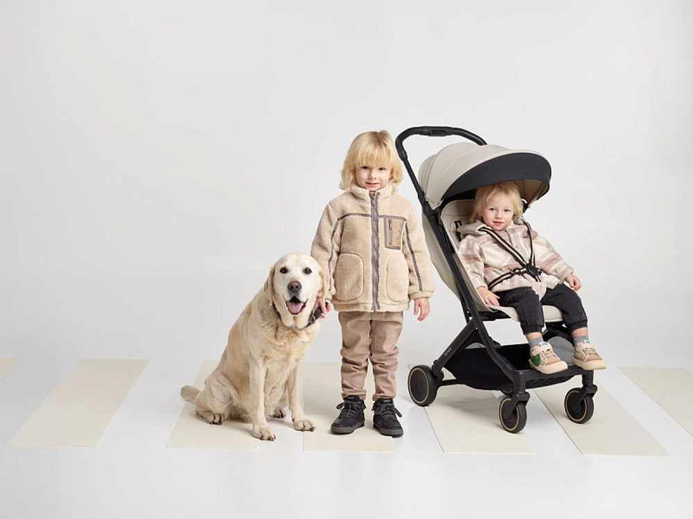 Детская прогулочная коляска Anex Air-X2 Shiro