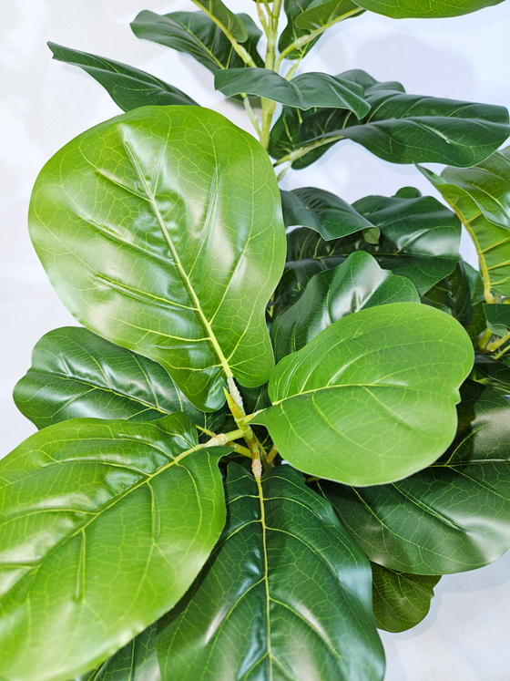 Искусственное растение Фикус Лирата зеленый в кашпо