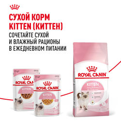 Консервы ROYAL CANIN для котят, Kitten, желе - 85 гр
