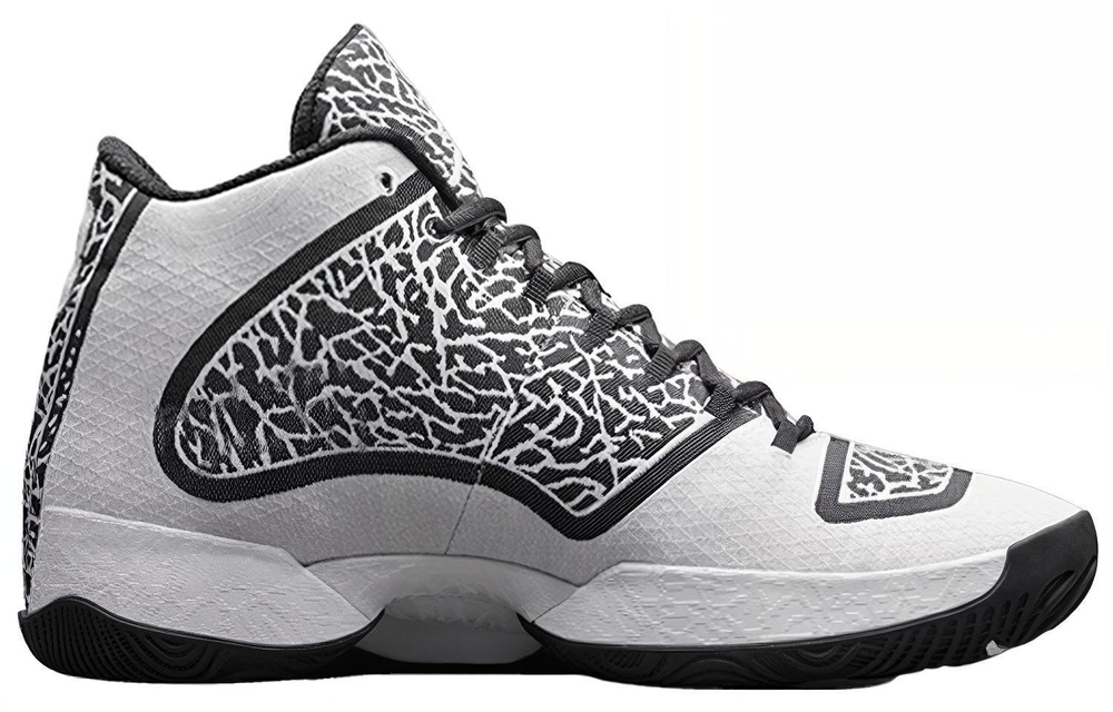 Кроссовки Jordan Air Jordan 29 Black White